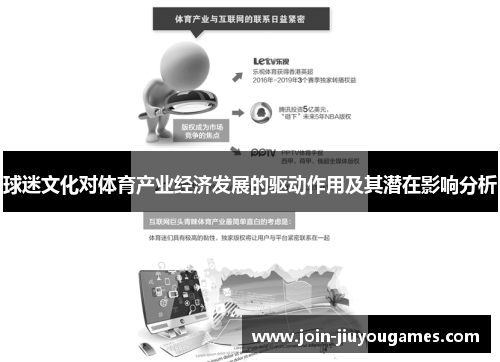 球迷文化对体育产业经济发展的驱动作用及其潜在影响分析