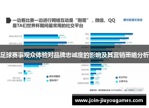 足球赛事观众体验对品牌忠诚度的影响及其营销策略分析