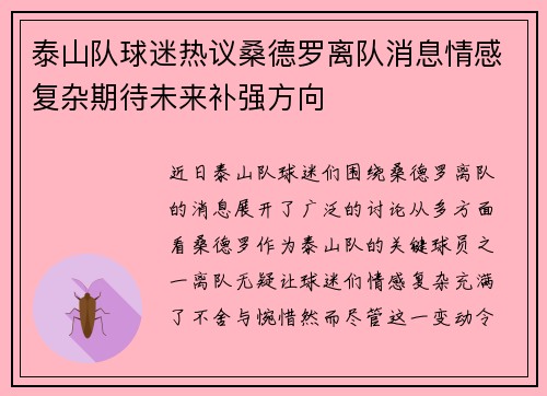 泰山队球迷热议桑德罗离队消息情感复杂期待未来补强方向